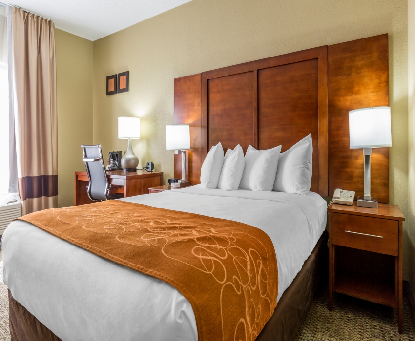 1 Queen Bed, 1 Room Suite